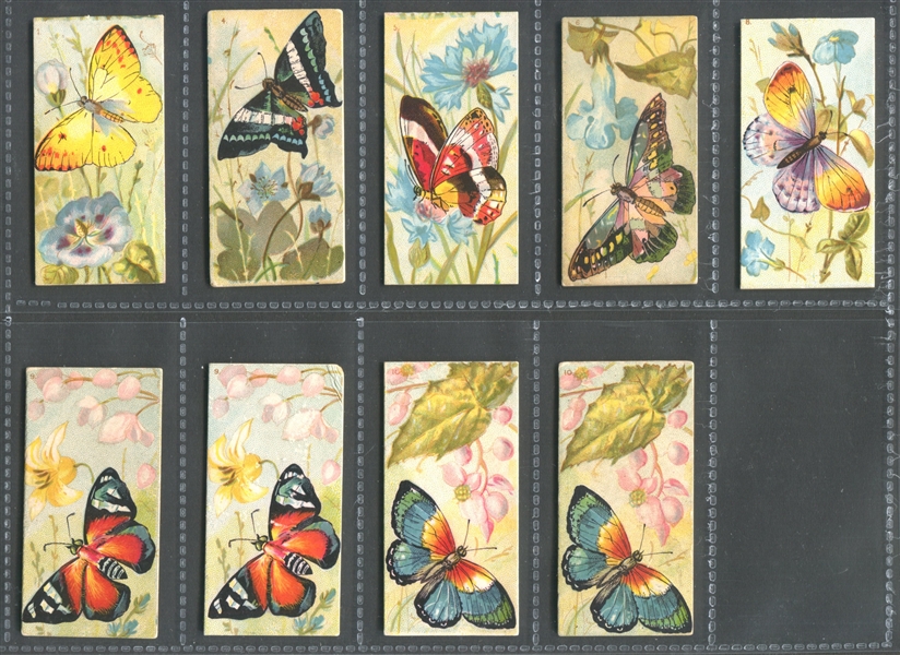 N217-1 Kinney Cigarettes Butterflies (White Background) Lot of (9) Cards