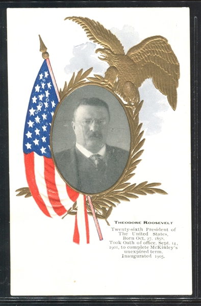 Early 1900's Presidential Postcard Set of (25) Cards - Washington Through Teddy Roosevelt