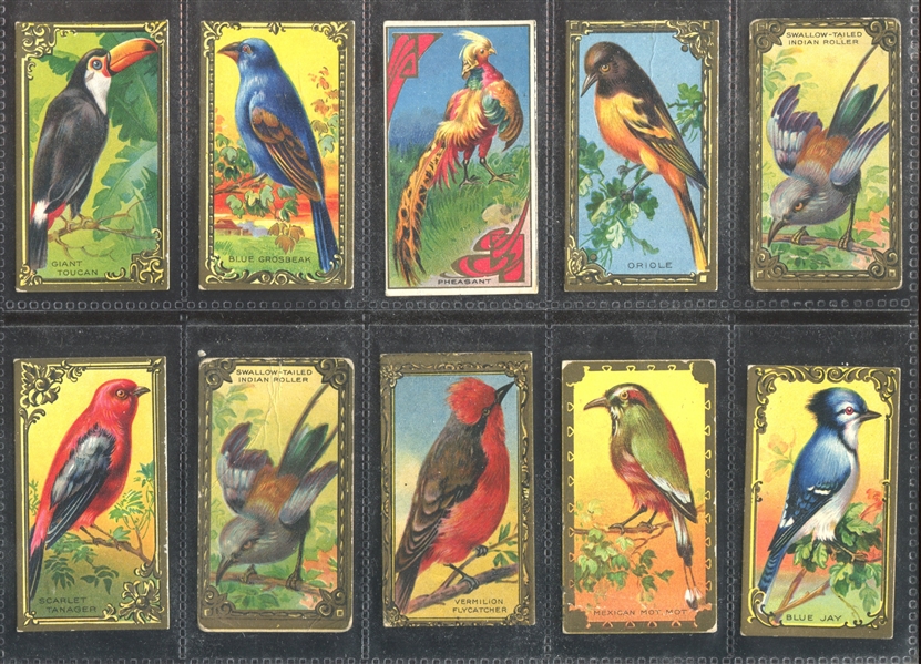 T43 Bird Series (Fancy Frame) Lot of (18) Cards