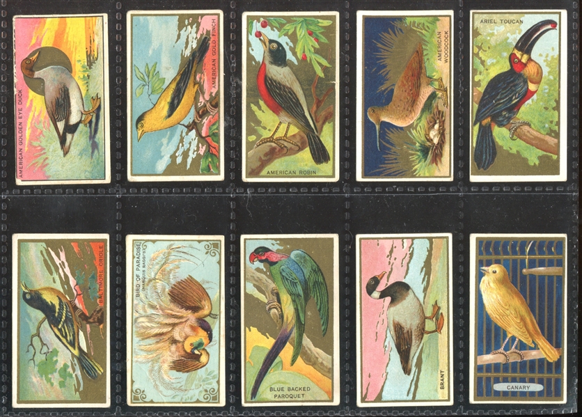 T42 Bird Series Mixed Back Near Set of (95/100) Cards with (7) Duplicate Variants