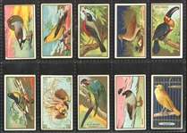 T42 Bird Series Mixed Back Near Set of (95/100) Cards with (7) Duplicate Variants