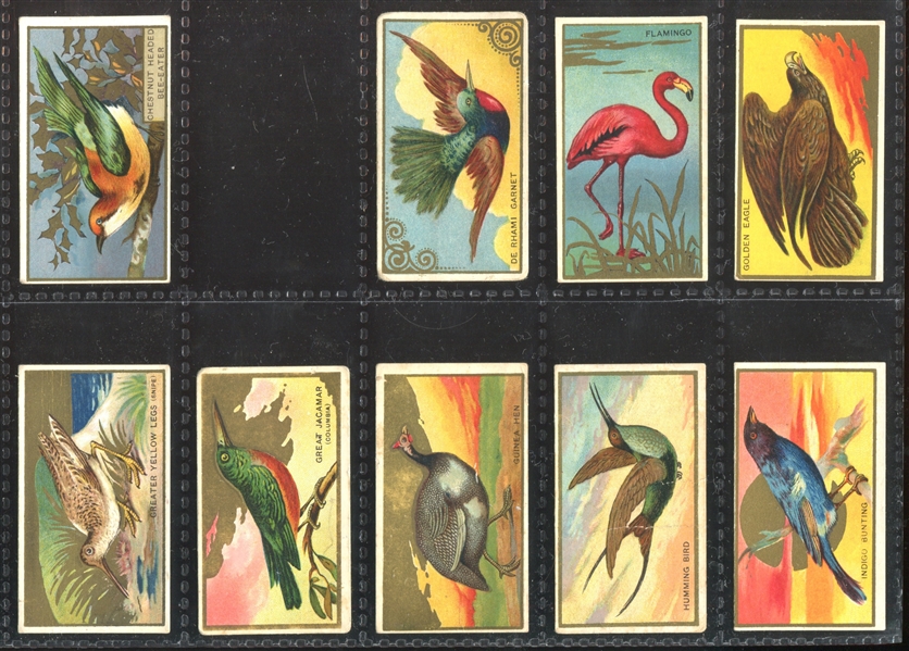 T42 Bird Series Mixed Back Near Set of (95/100) Cards with (7) Duplicate Variants