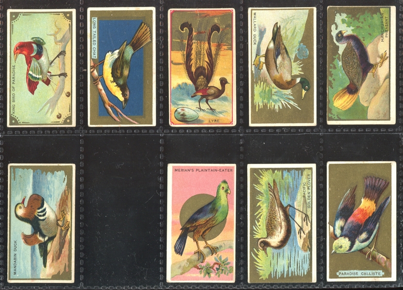 T42 Bird Series Mixed Back Near Set of (95/100) Cards with (7) Duplicate Variants