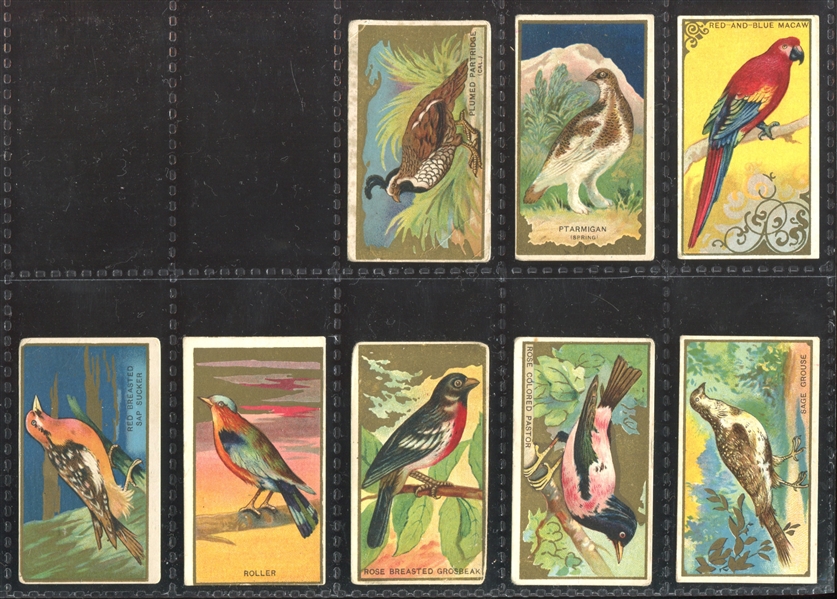 T42 Bird Series Mixed Back Near Set of (95/100) Cards with (7) Duplicate Variants