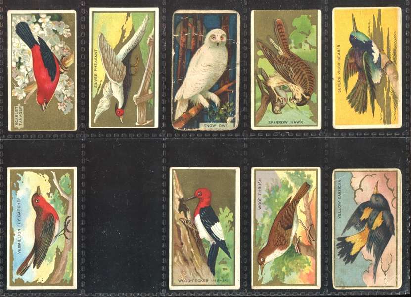 T42 Bird Series Mixed Back Near Set of (95/100) Cards with (7) Duplicate Variants