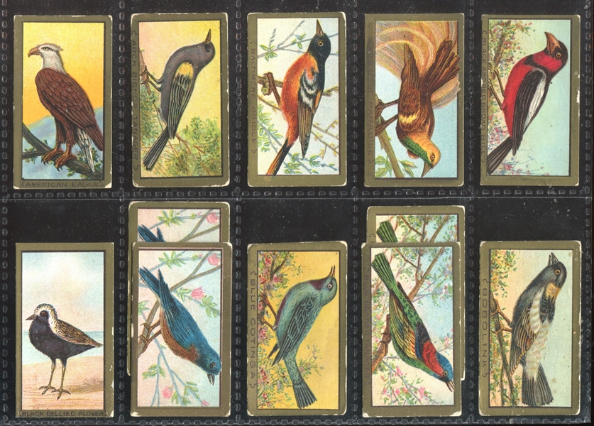 T42 Bird Series Mixed Back Near Set of (95/100) Cards with (7) Duplicate Variants