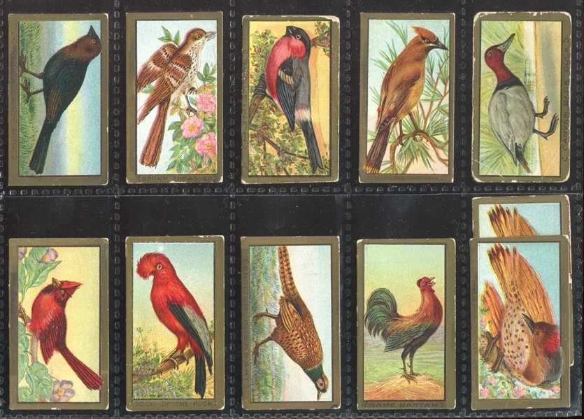 T42 Bird Series Mixed Back Near Set of (95/100) Cards with (7) Duplicate Variants