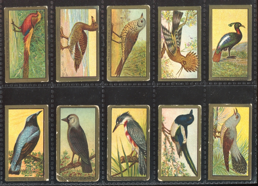 T42 Bird Series Mixed Back Near Set of (95/100) Cards with (7) Duplicate Variants