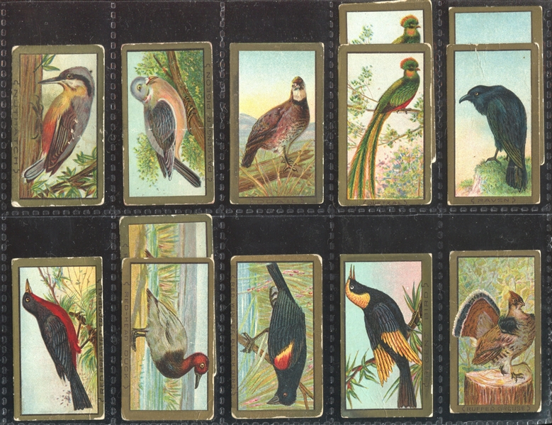 T42 Bird Series Mixed Back Near Set of (95/100) Cards with (7) Duplicate Variants