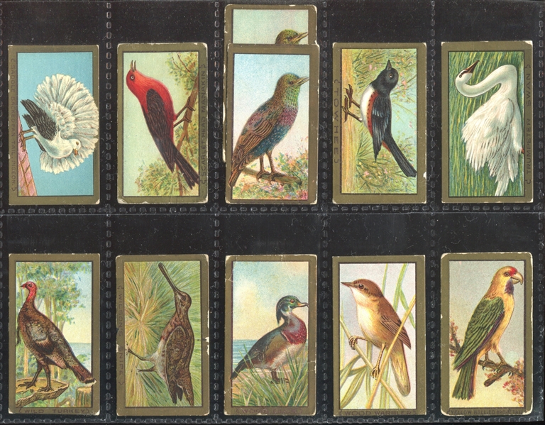 T42 Bird Series Mixed Back Near Set of (95/100) Cards with (7) Duplicate Variants