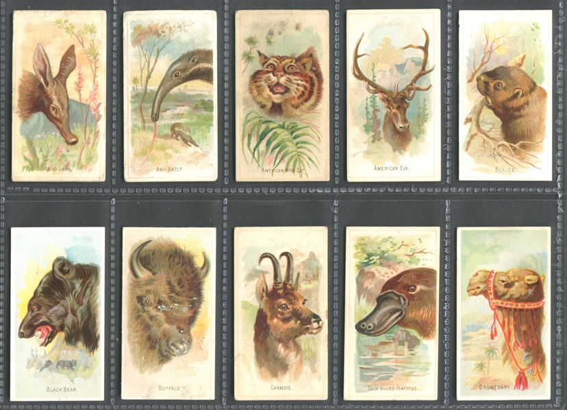 N25 Allen & Ginter Wild Animals of the World Complete Set of (50) Cards