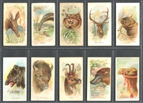 N25 Allen & Ginter Wild Animals of the World Complete Set of (50) Cards