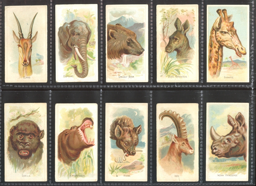 N25 Allen & Ginter Wild Animals of the World Complete Set of (50) Cards