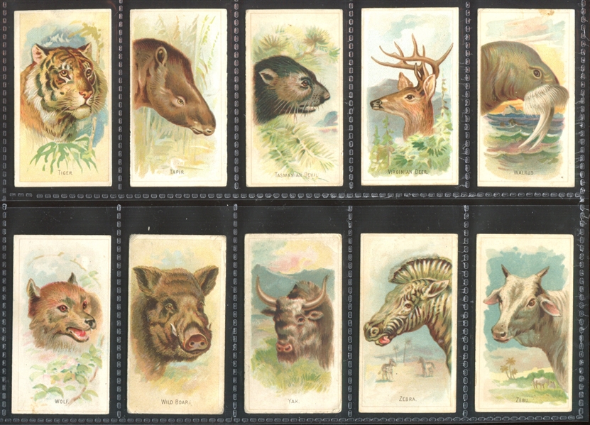 N25 Allen & Ginter Wild Animals of the World Complete Set of (50) Cards