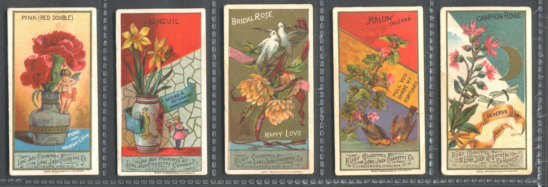 N366 Lone Jack Language of Flowers Lot of (5) Cards