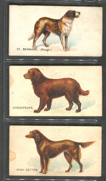 N163 Goodwin Dogs Lot of (5) Different Cards