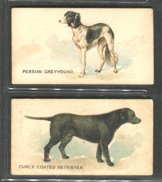 N163 Goodwin Dogs Lot of (5) Different Cards