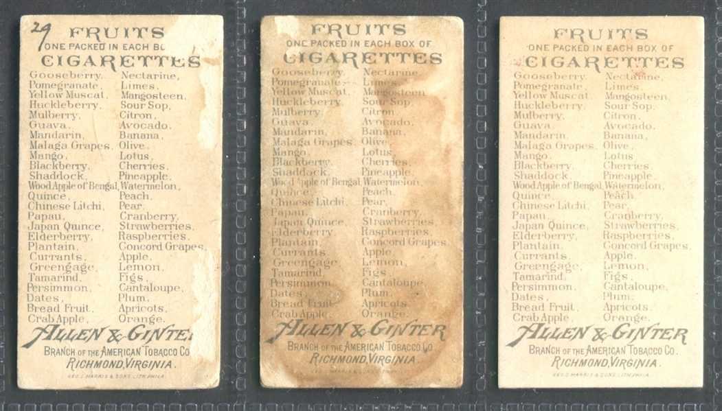 N12 Allen & Ginter Fruits Lot of (3) Cards