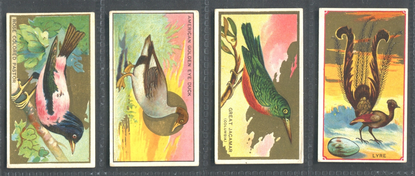 T42 Bird Series Lot of (14) Emblem-backed Cards