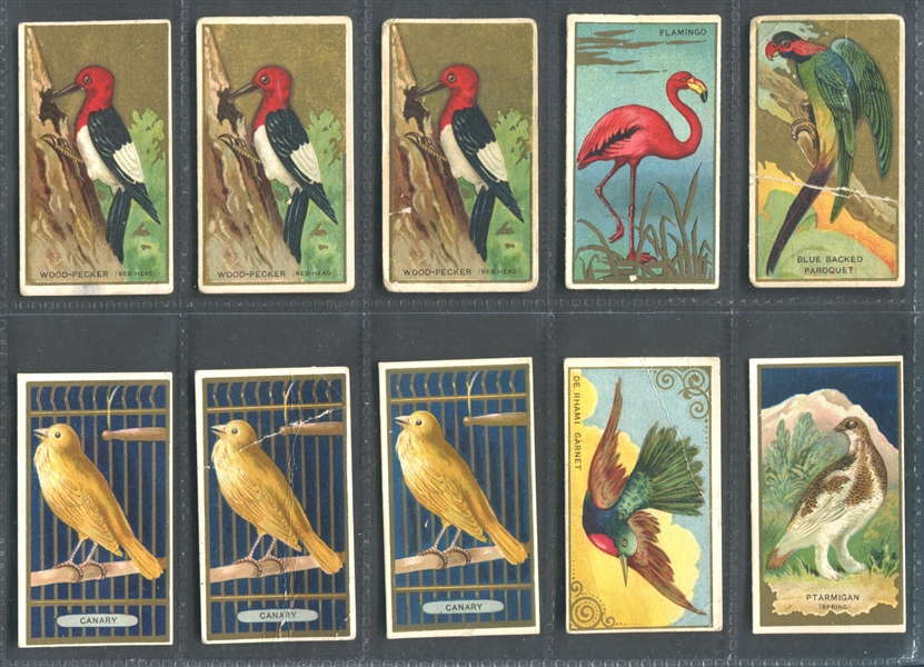 T42 Bird Series Lot of (50) Sovereign-backed Cards