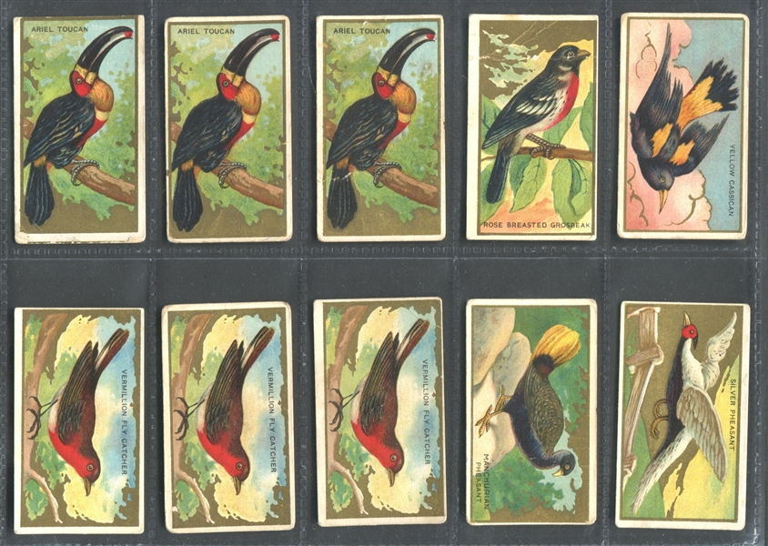 T42 Bird Series Lot of (50) Sovereign-backed Cards