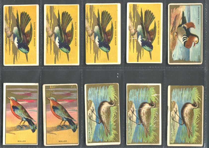 T42 Bird Series Lot of (50) Sovereign-backed Cards