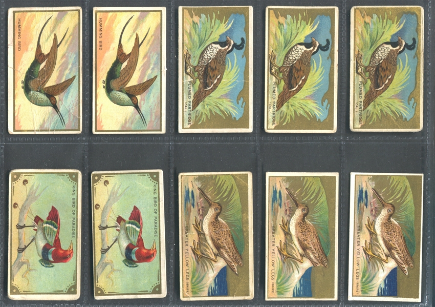 T42 Bird Series Lot of (50) Sovereign-backed Cards