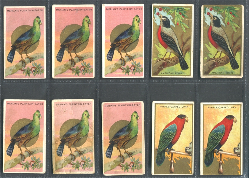 T42 Bird Series Lot of (50) Sovereign-backed Cards