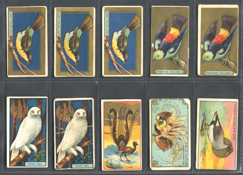 T42 Bird Series Lot of (45) Cards with (39) Old Mill-backed cards