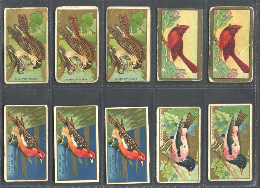 T42 Bird Series Lot of (45) Cards with (39) Old Mill-backed cards