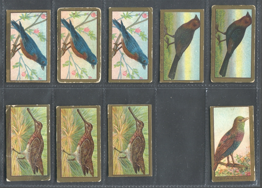 T42 Bird Series Lot of (45) Cards with (39) Old Mill-backed cards