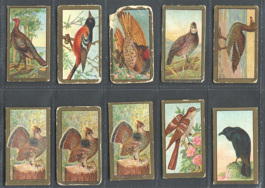 T42 Bird Series Lot of (45) Cards with (39) Old Mill-backed cards