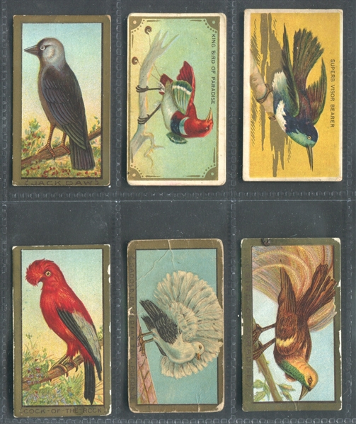 T42 Bird Series Lot of (45) Cards with (39) Old Mill-backed cards