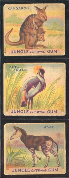 R78 Goudey Gum Jungle Gum Lot of (39) Cards