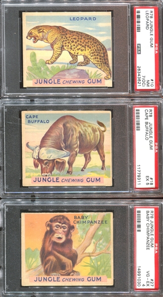 R78 Goudey Jungle Gum Lot of (12) PSA-Graded Cards