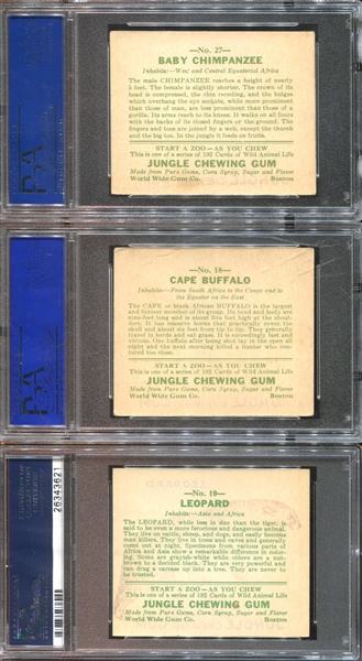 R78 Goudey Jungle Gum Lot of (12) PSA-Graded Cards