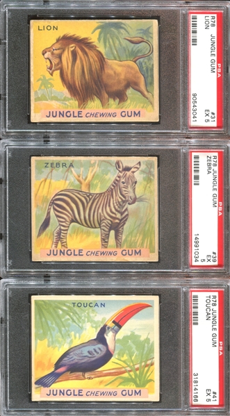 R78 Goudey Jungle Gum Lot of (12) PSA-Graded Cards