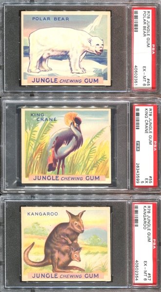 R78 Goudey Jungle Gum Lot of (12) PSA-Graded Cards