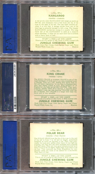 R78 Goudey Jungle Gum Lot of (12) PSA-Graded Cards