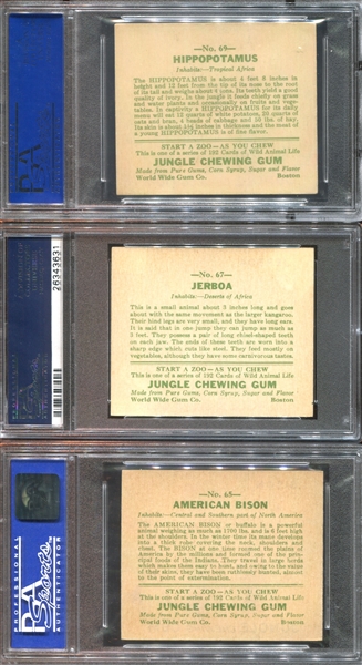 R78 Goudey Jungle Gum Lot of (12) PSA-Graded Cards