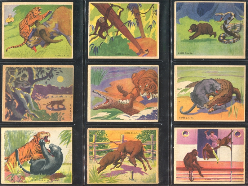 R55 Gumakers Frank Buck Complete Set of (48) Cards