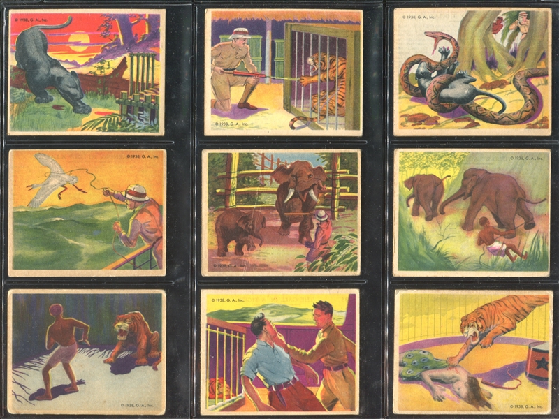 R55 Gumakers Frank Buck Complete Set of (48) Cards