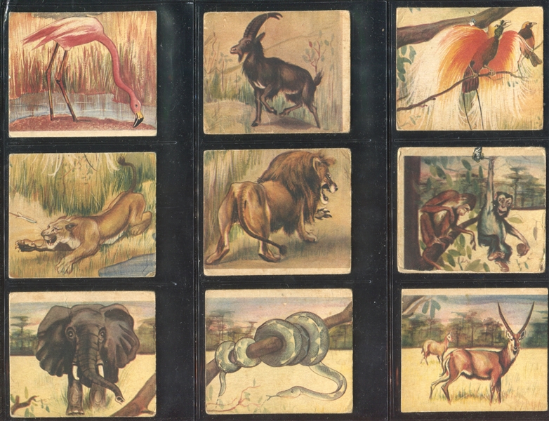 R6 National Licorice African Animal Jig Complete Set of (24) Cards