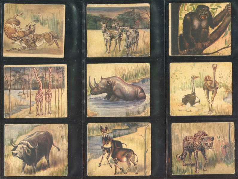 R6 National Licorice African Animal Jig Complete Set of (24) Cards