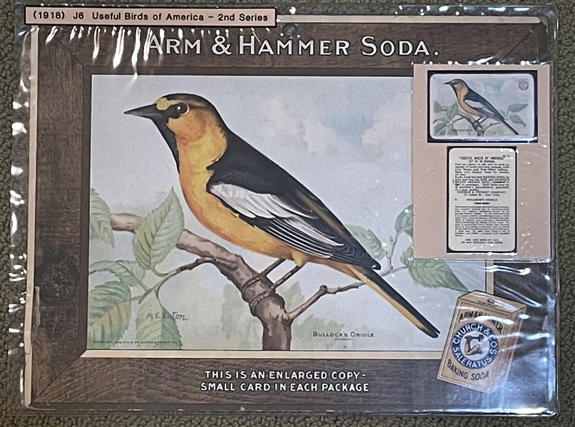 Arm & Hammer Lot of (7) Oversized Bird, Dog and Fish Premiums