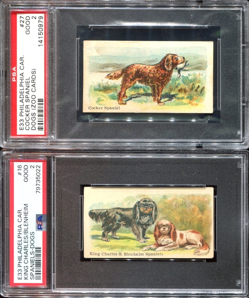 E33 Philadelphia Caramel Dogs Lot of (5) PSA-Graded Cards