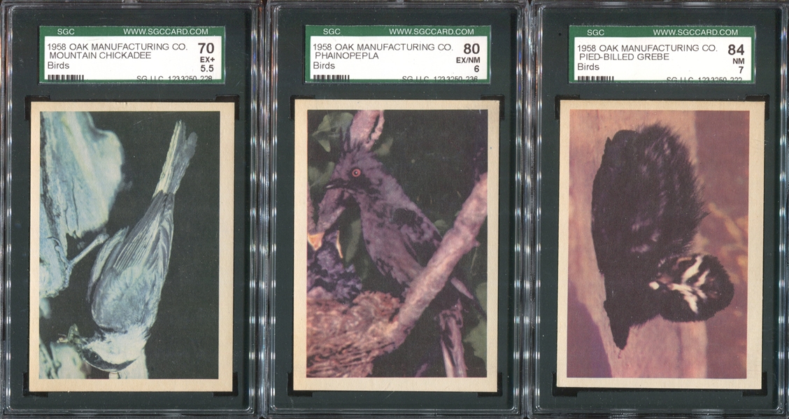 R724-2 Oak Premere Birds Lot of (25) SGC-Graded Cards