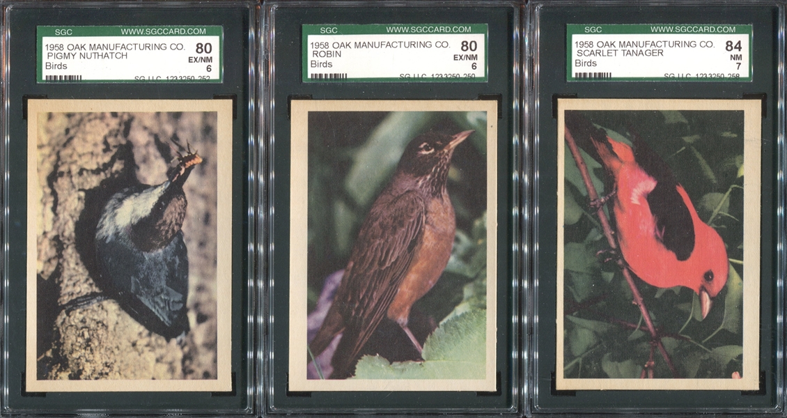 R724-2 Oak Premere Birds Lot of (25) SGC-Graded Cards