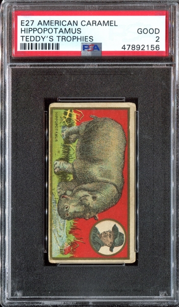 E27 American Caramel Teddy's Trophies Hippopotamus PSA2 Good