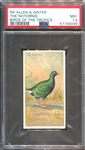 N5 Allen & Ginter Birds of the Tropics "The Notornis" PSA7.5 NM+ POP1, None Higher